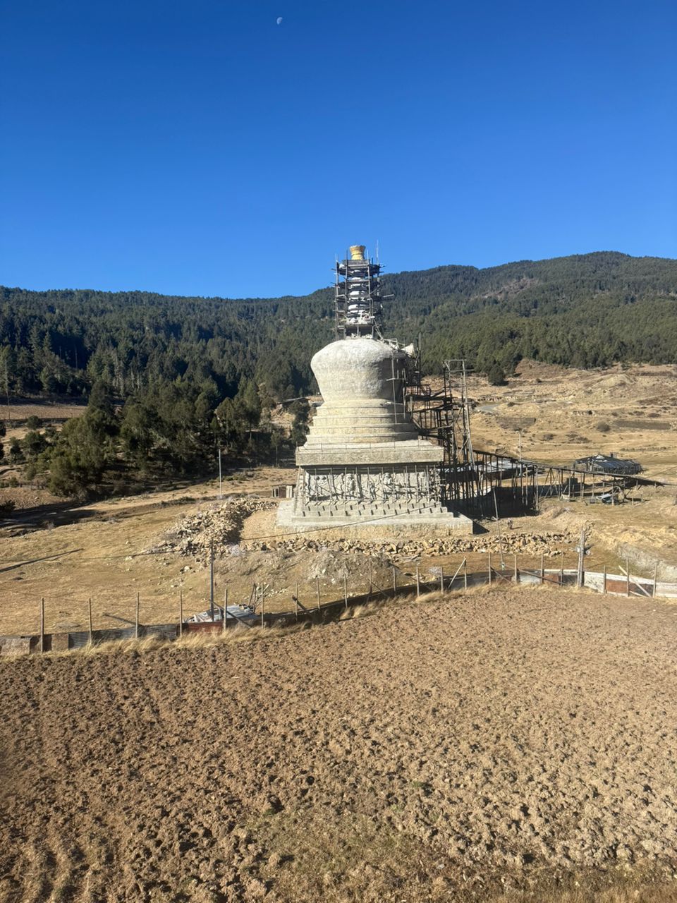 Why Group Travel is More Fun Than You Think